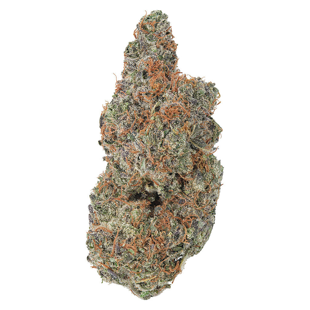 Coterie - Strawberry Gary