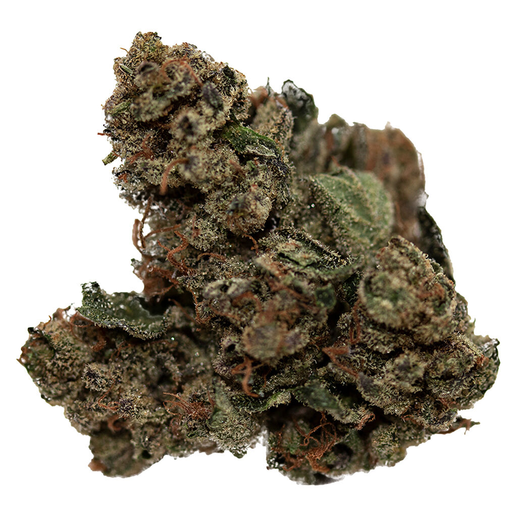Choice Growers - Blackberry Cheesecake Whole Flower