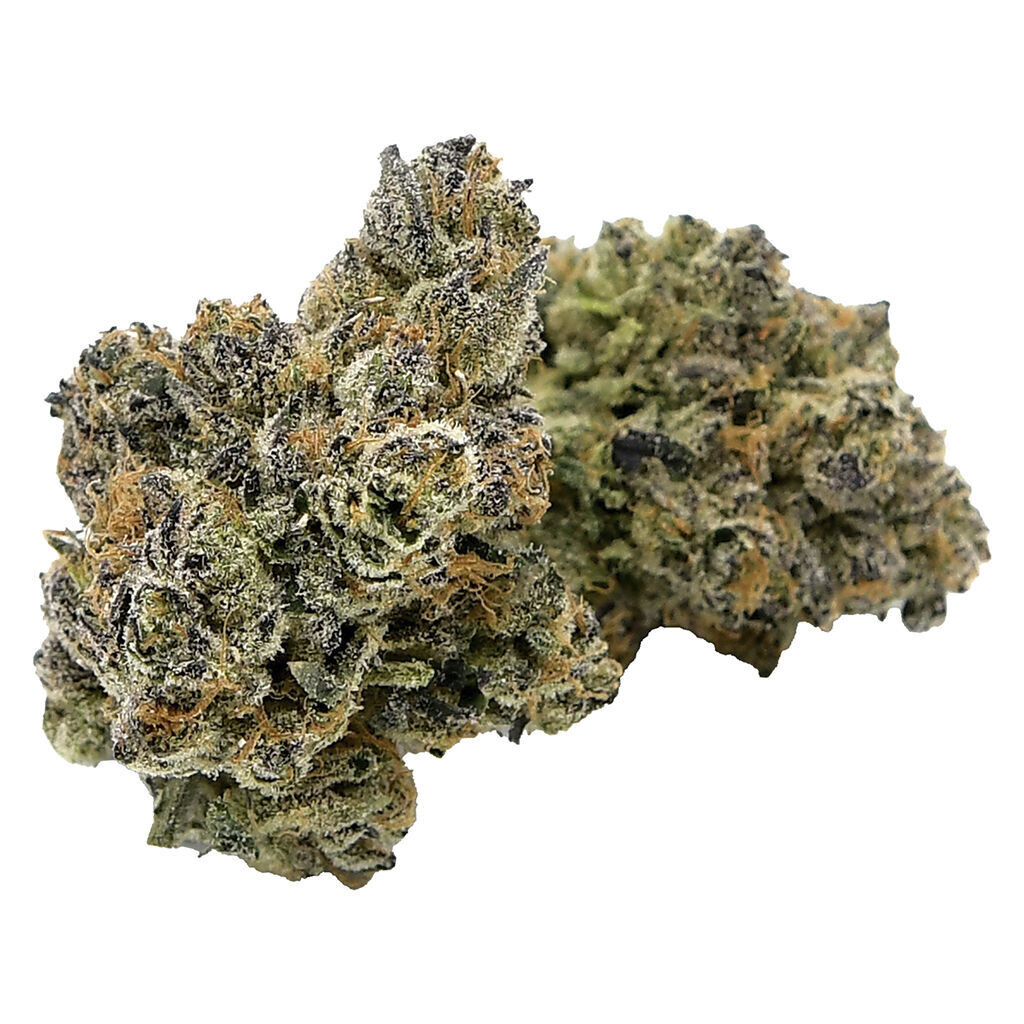 Strains Limited - RNTZ