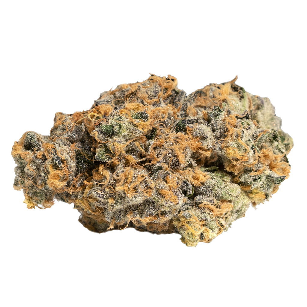 Cookies - GP20