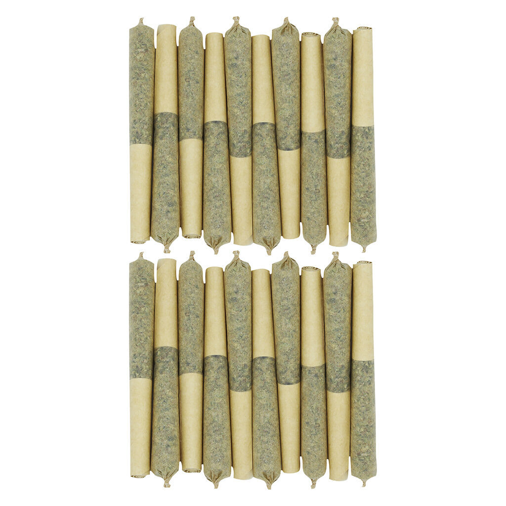 Starting Point! - Frenchy Macaroni Pre-Roll - Hybrid - 20x0.5g