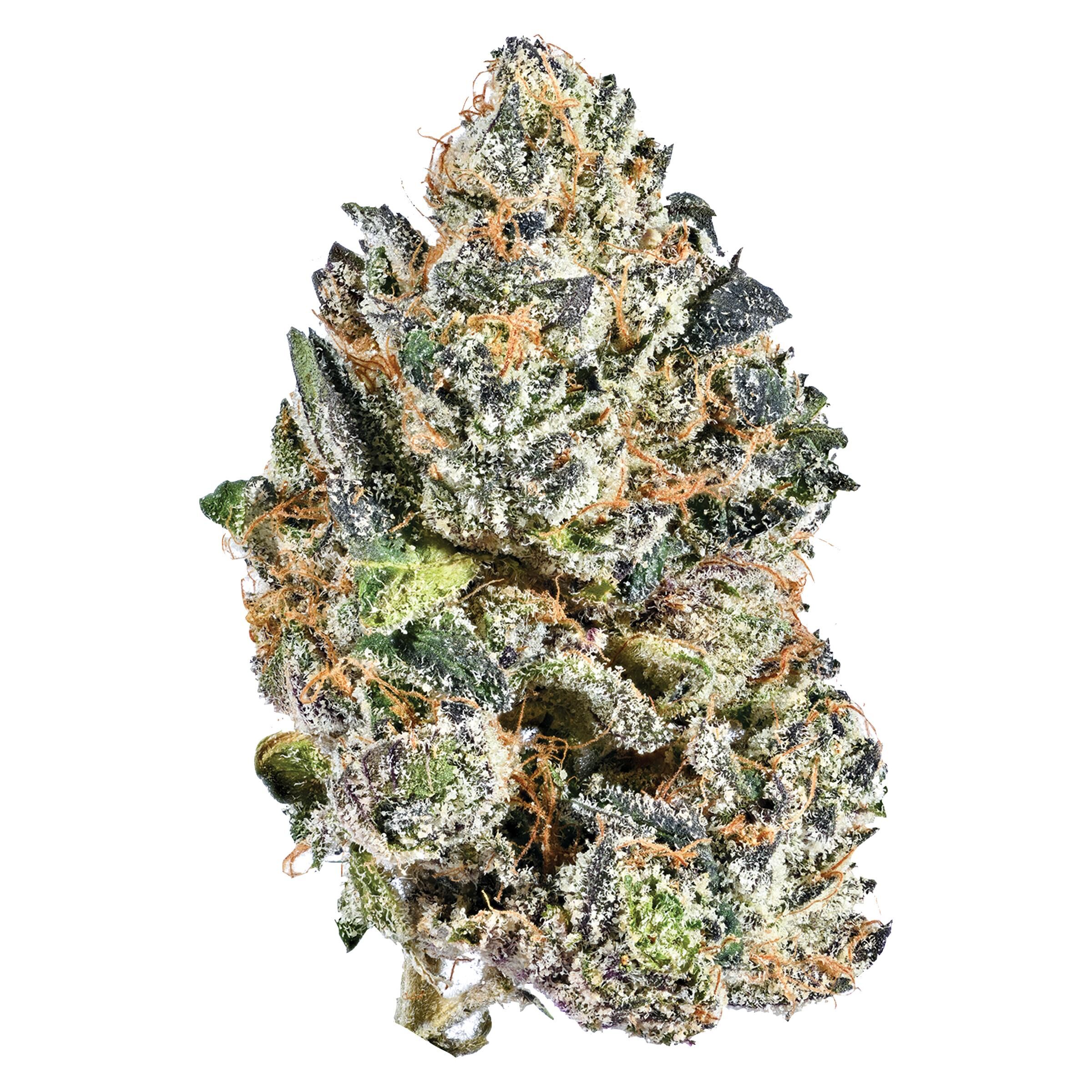 Nugz - Indica