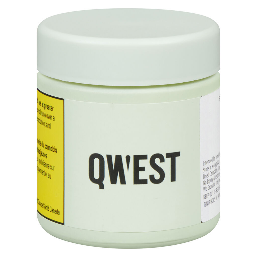 Qwest - Terpee Slerpee