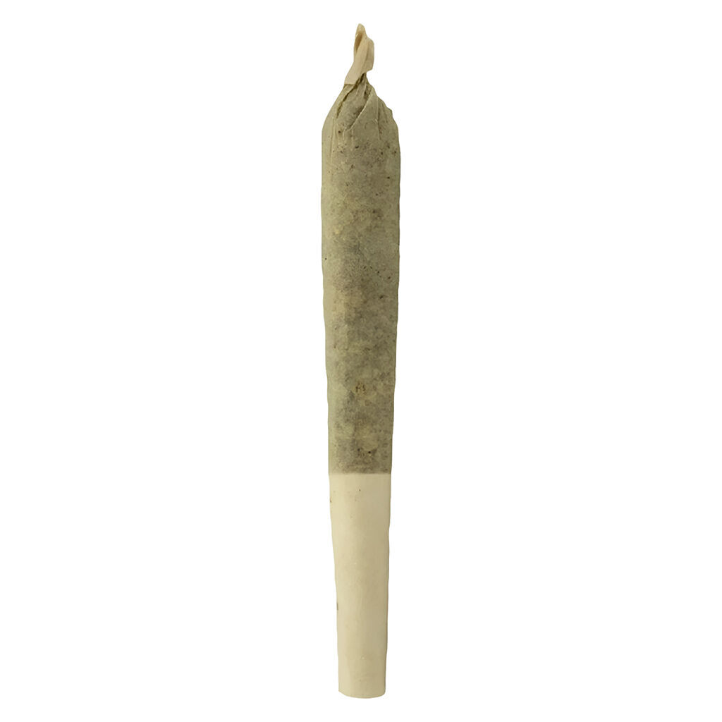Sheeesh! - Bluefin Tuna Pre-Roll - Indica - 1x0.5g