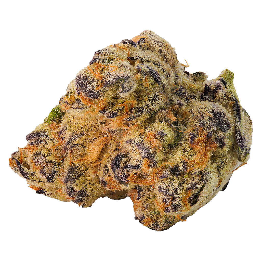 Highland Special - Paulander Purple