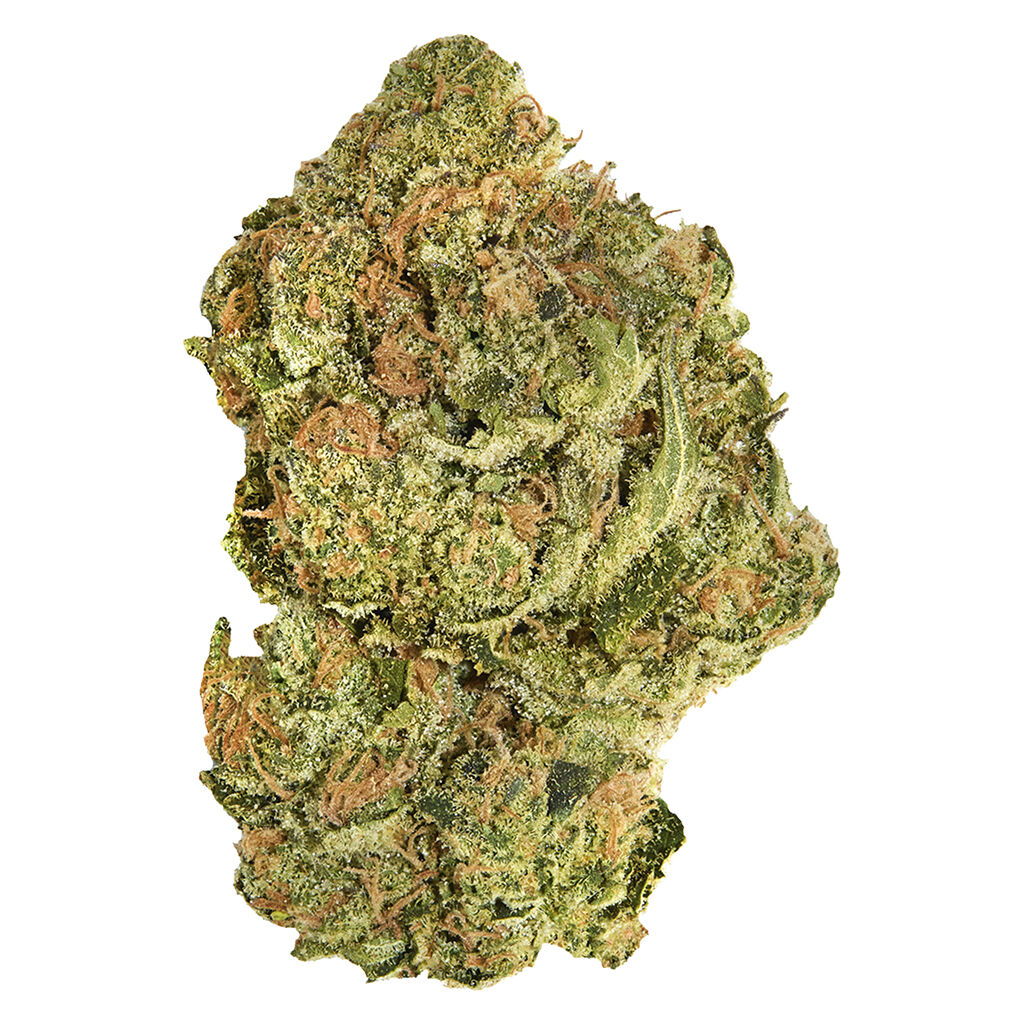 Good Supply - Brand New Buds