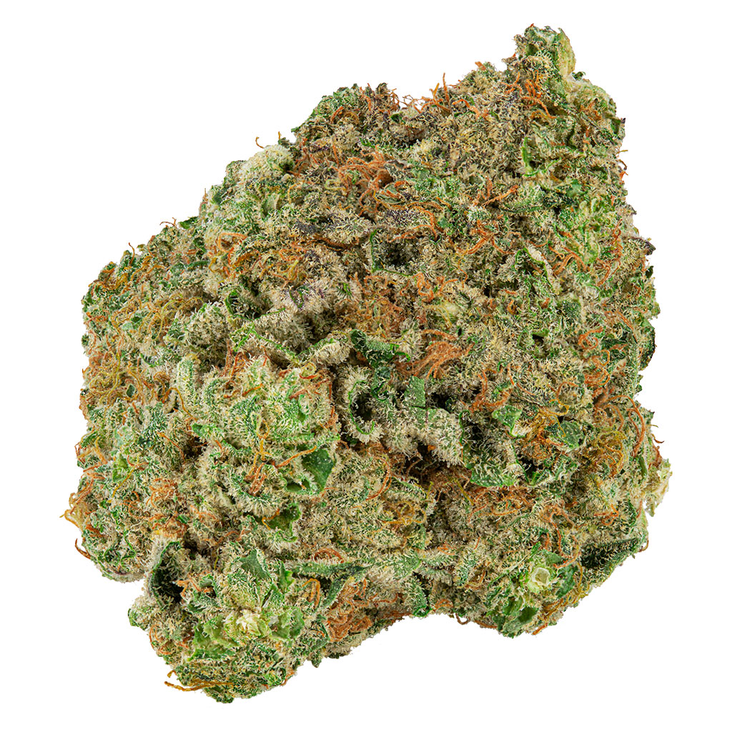 Big Bag O' Buds - Dough Lato