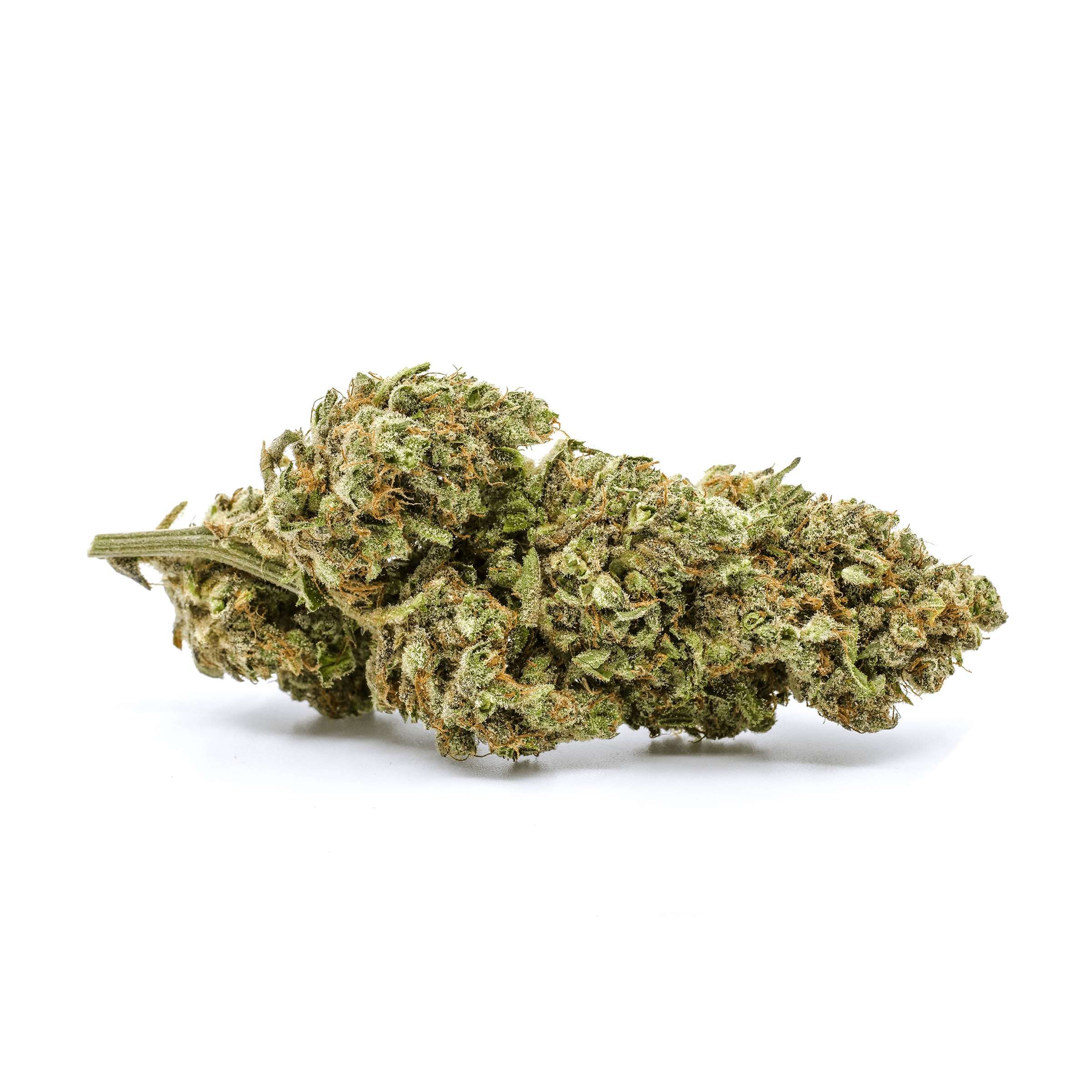 Redecan - God Bud