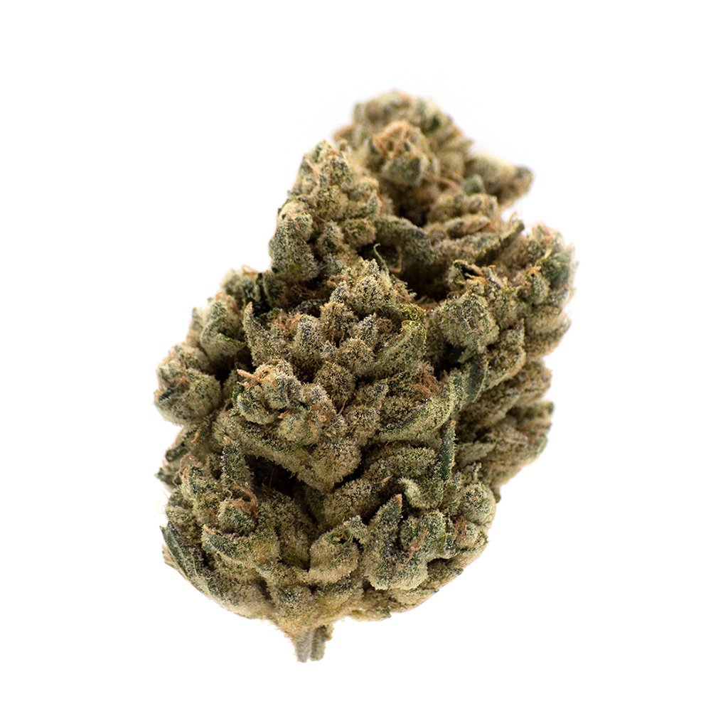 MTL Cannabis - Jungl' Cake 14g