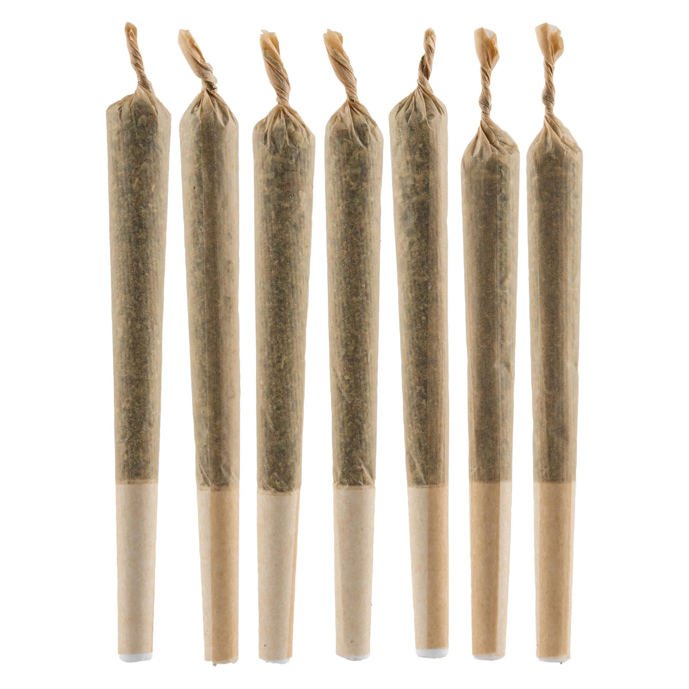 Primo - White Widow Pre-Roll - Sativa - 7x0.5g
