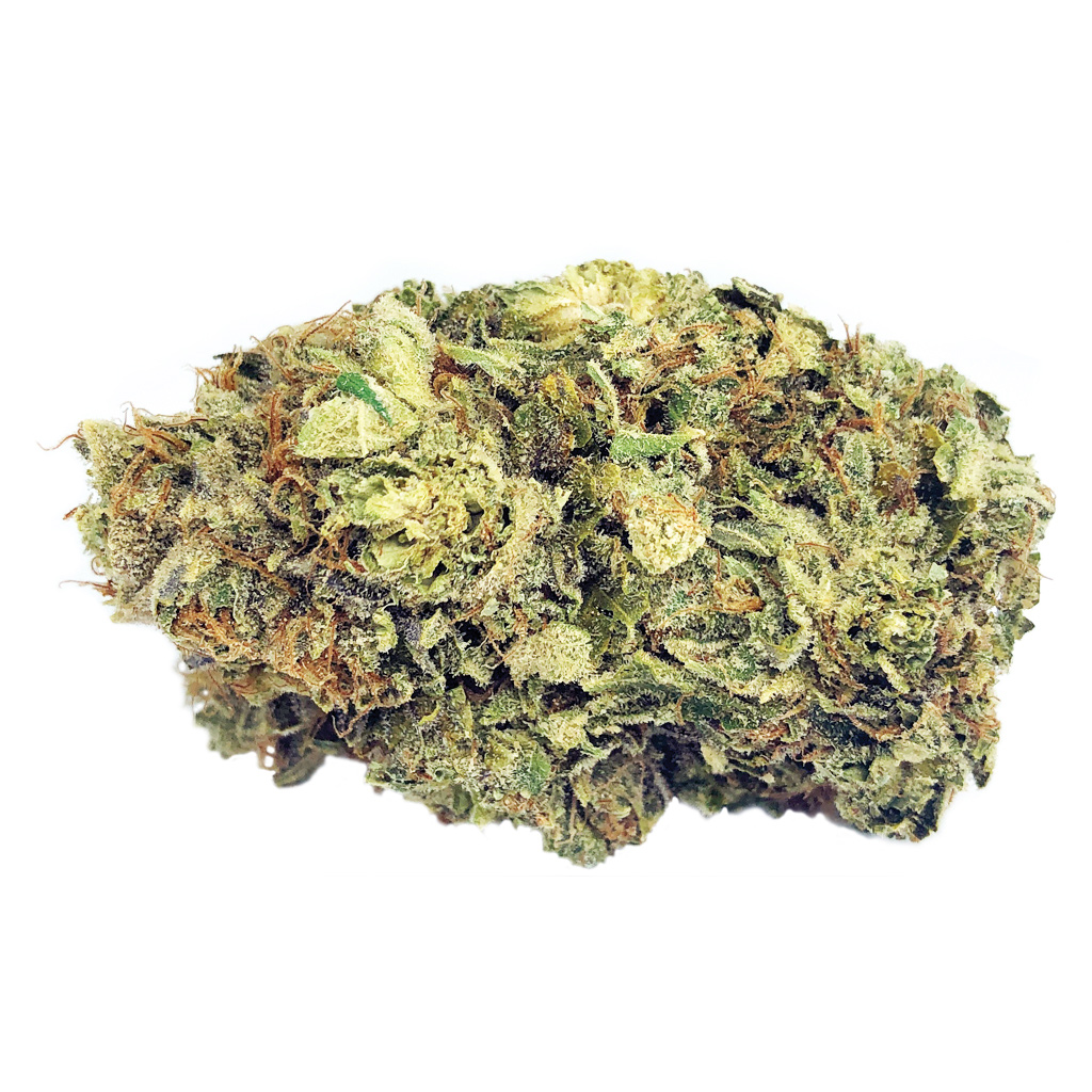 BC Black - Black Kettle Farms Rainbow Driver