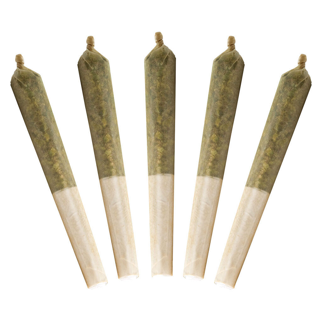Buddy Blooms - Lil Buddy Indica Pre-Roll - 5x0.5g