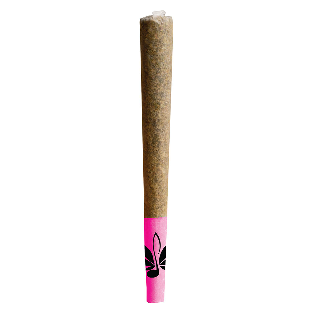 High Note - Black Gas Pre-Roll Pack - Indica - 12x0.6g