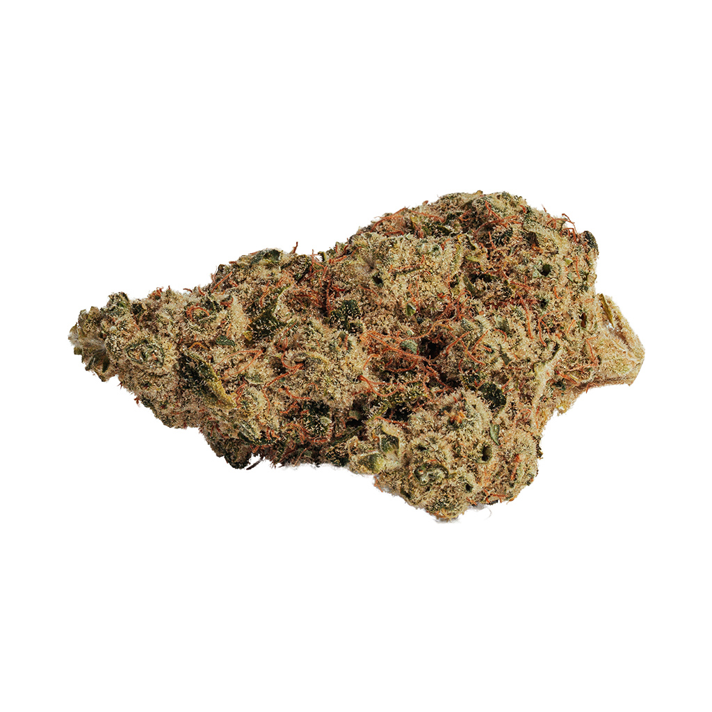 Bold - Thin Mint GSC x Sunset Sherbet