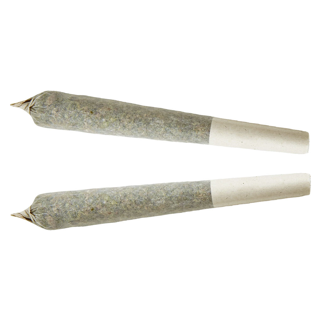 XPLOR - Sativa Pre-roll - 2x1g