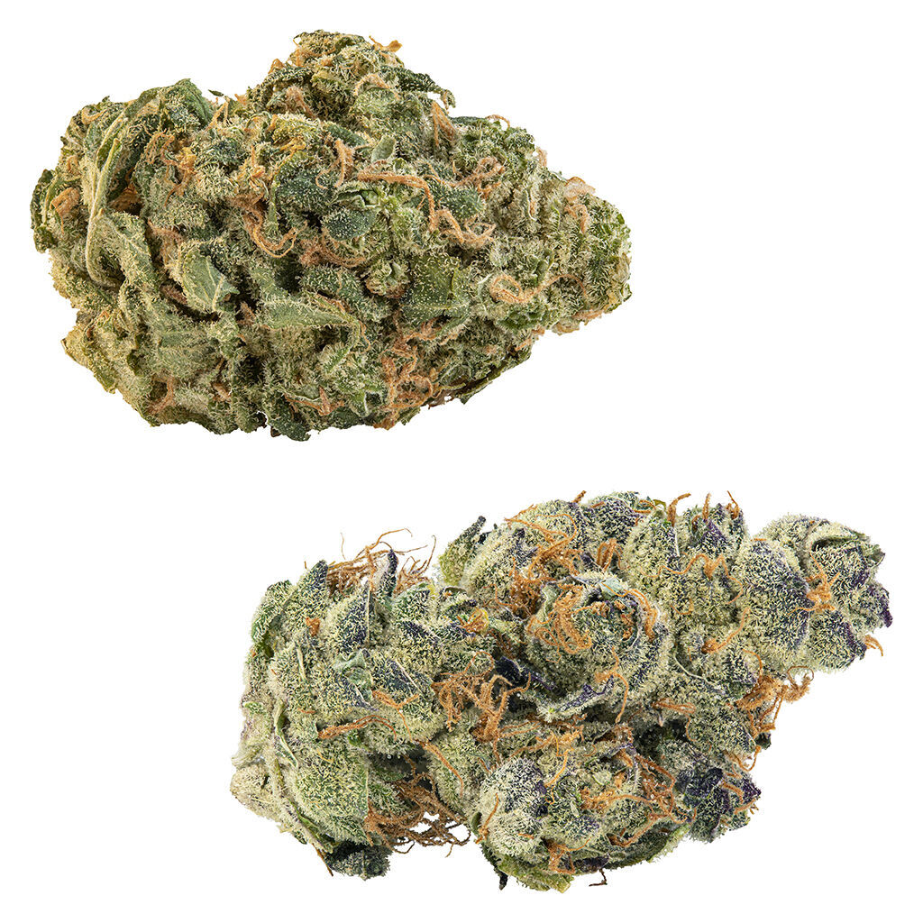 Big Bag O' Buds - CombOz: GMO Cookies + Ultra Sour