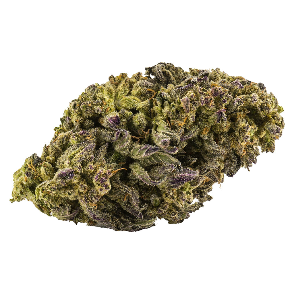 Primo - White Widow