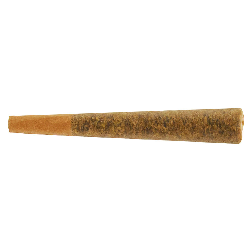 CELEBRITY - Roman Circus Pre-Roll - Hybrid - 3x0.5g