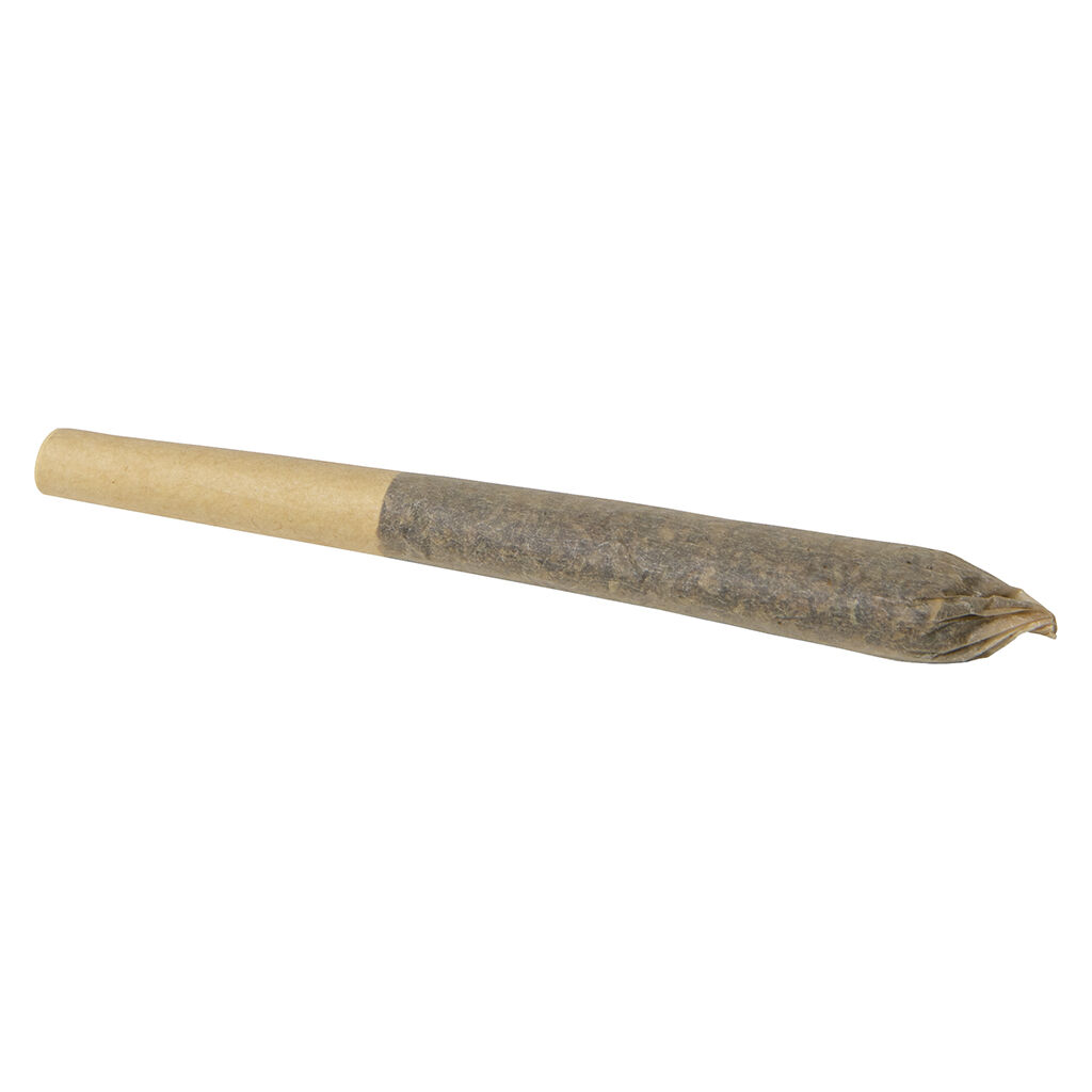 Abide - 6:9 Pre-Roll - Hybrid - 5x0.4g