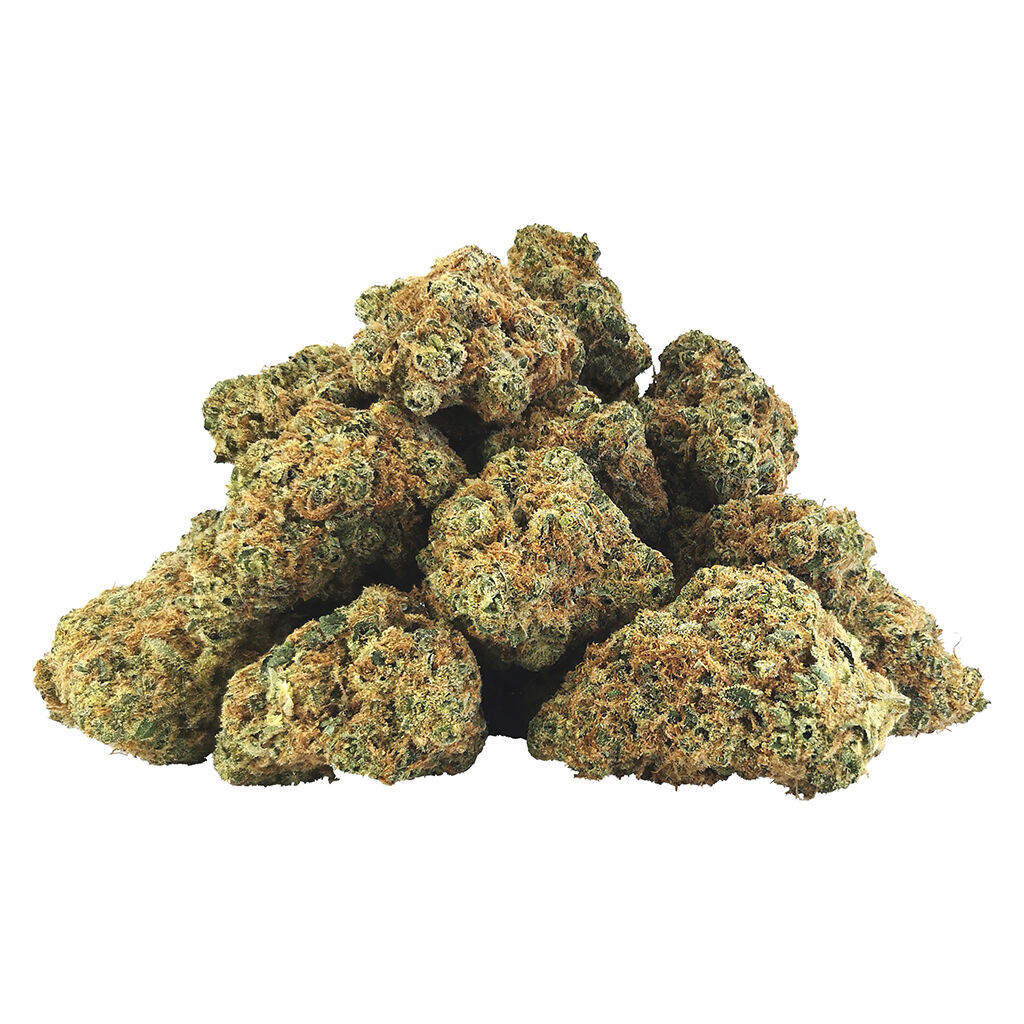 BC OZ - Code Red