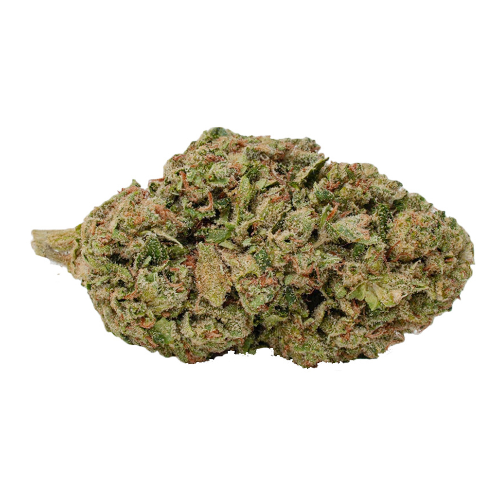 Melt - Biscotti Amnesia