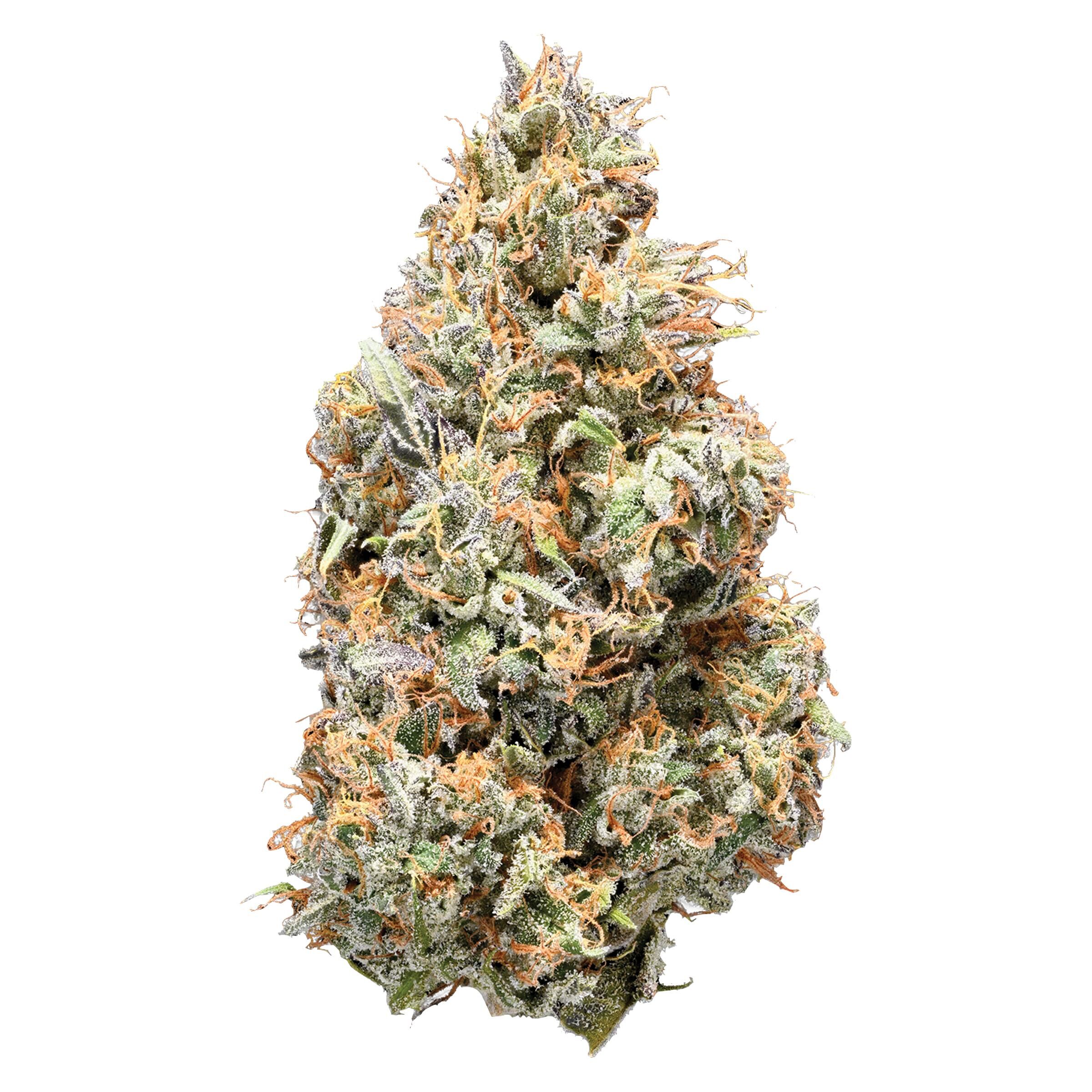 Nugz - Sativa 14g