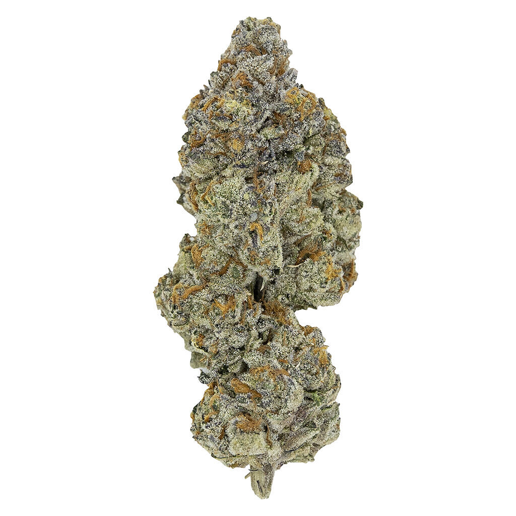 Pistol and Paris - LSO Collection: Blueberry Vendetta