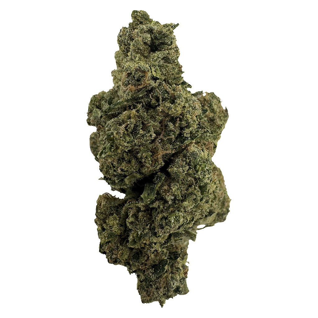 Floor5 - Lavender Chem