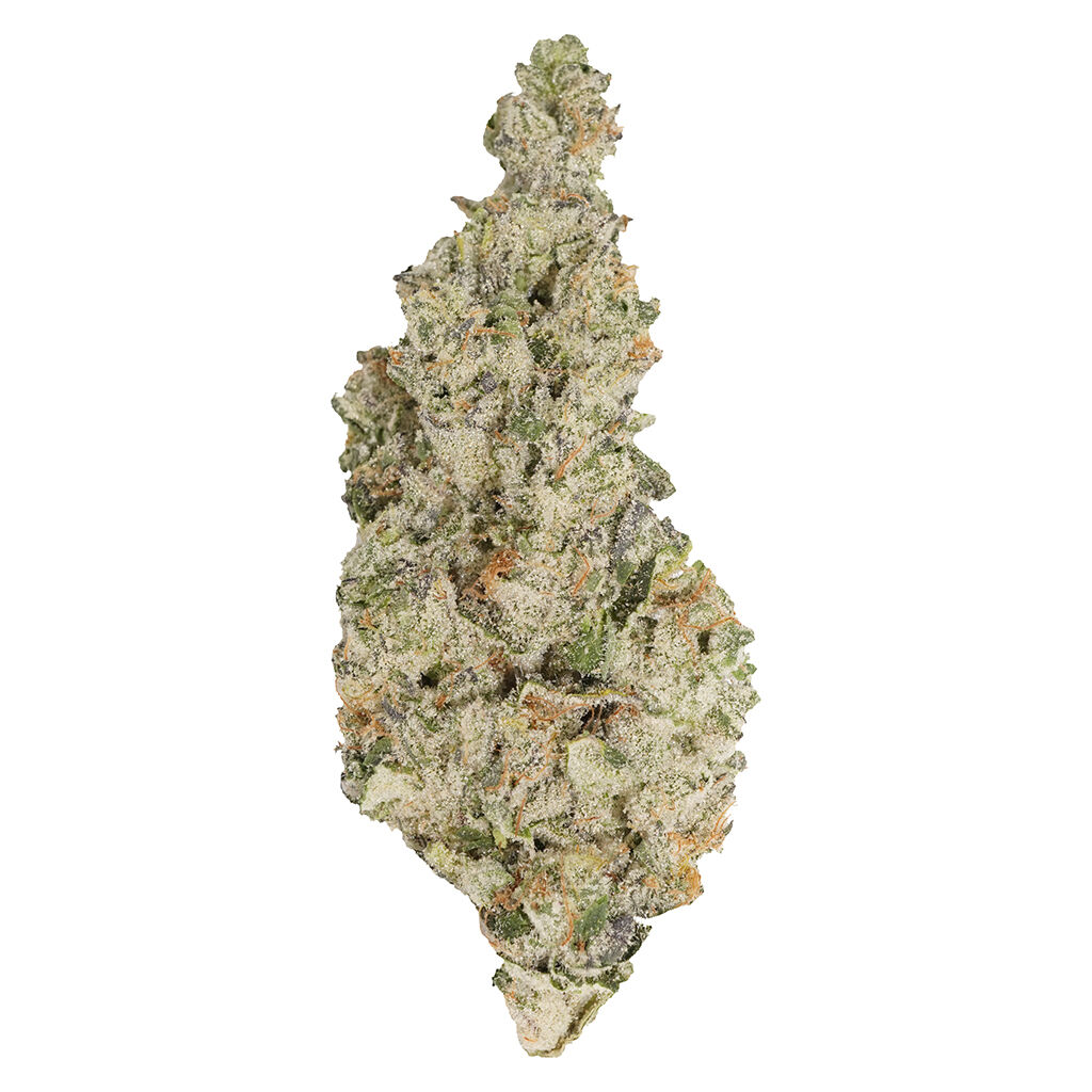 Always Toasted - Hawaiian Face