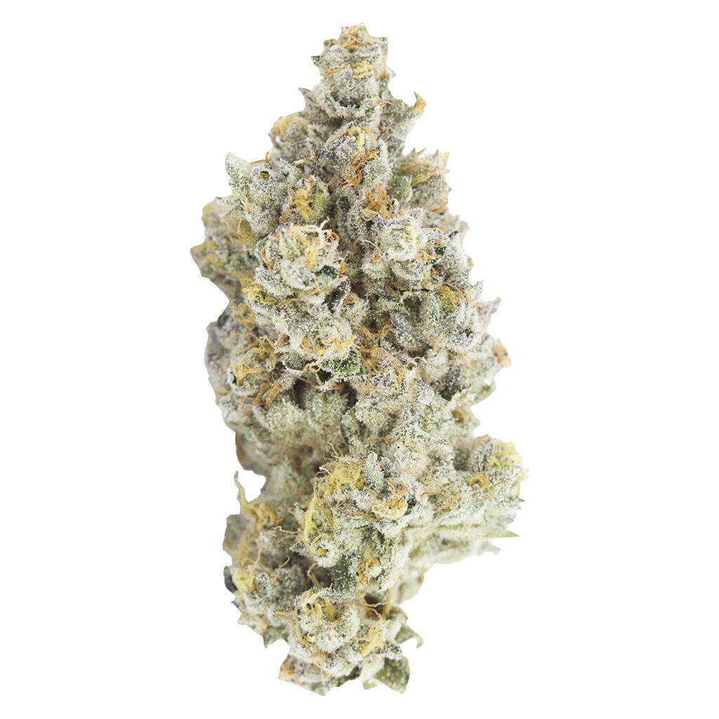 Naked Mummer - Phenohunt Series - Indica