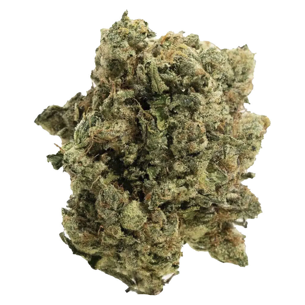 Handy Dandies - ITSY BITSY TIPSY WHOLE FLOWER