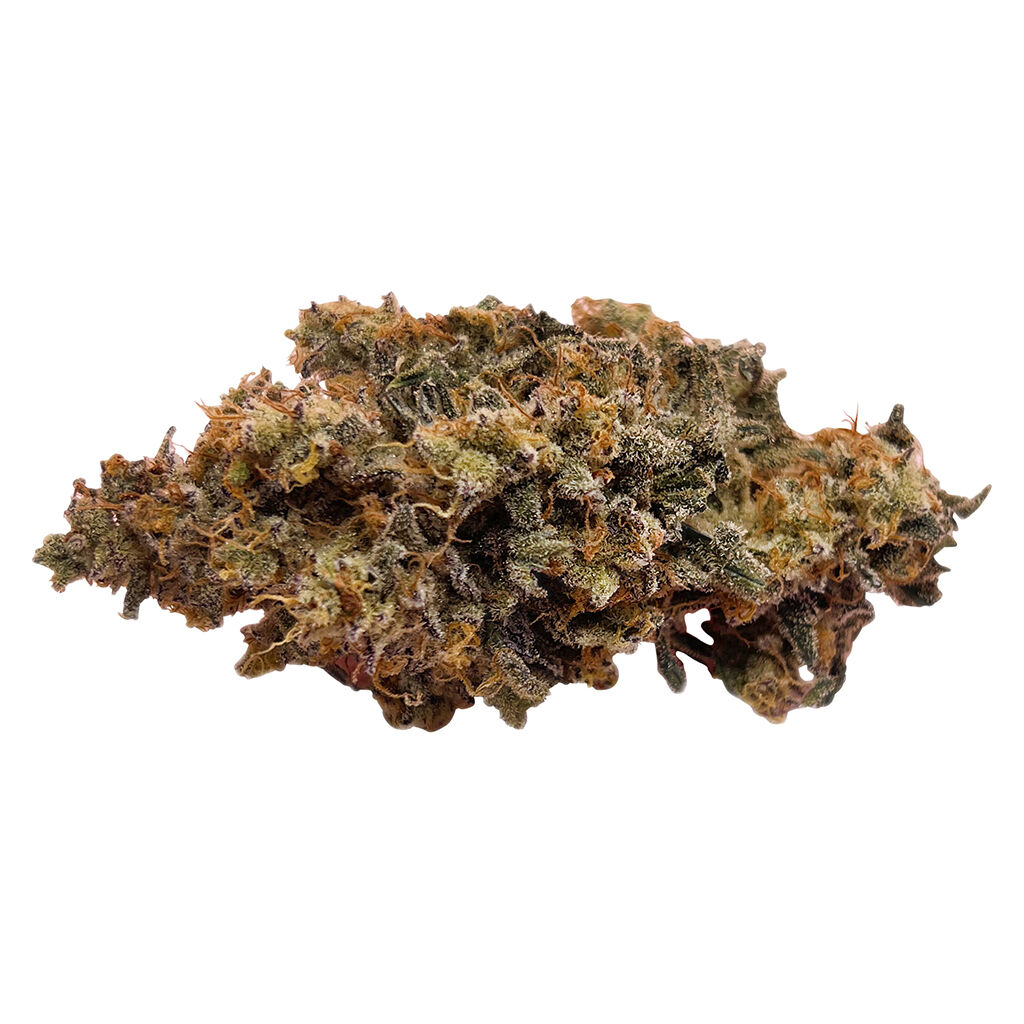 Palm Gardens Cannabis Company - Pheno Safari