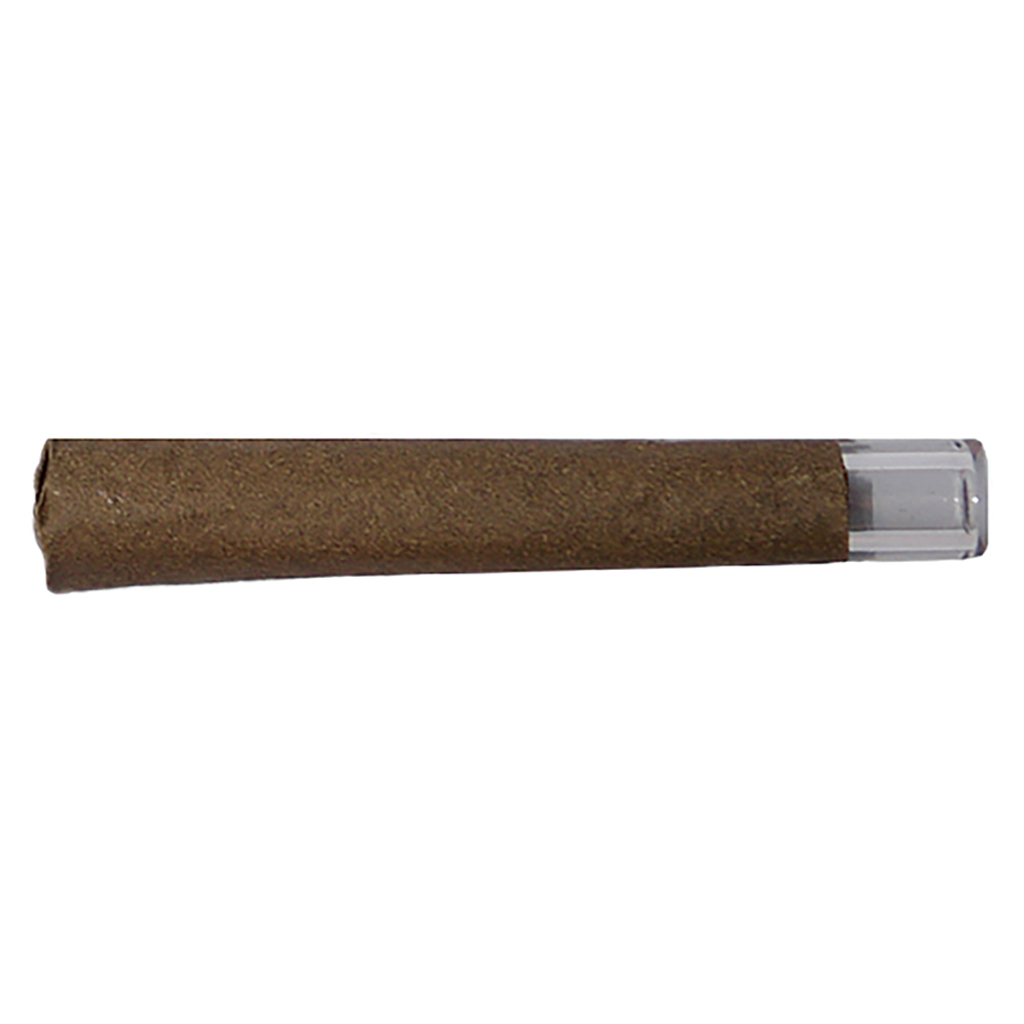 Lobo - Golden Pineapple - 1x1g