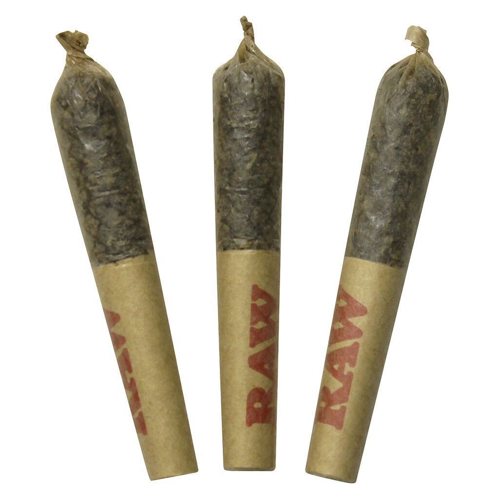 Dab Bods - Ghost Train Haze Resin Infused Pre-Roll - Hybrid - 1x0.5g