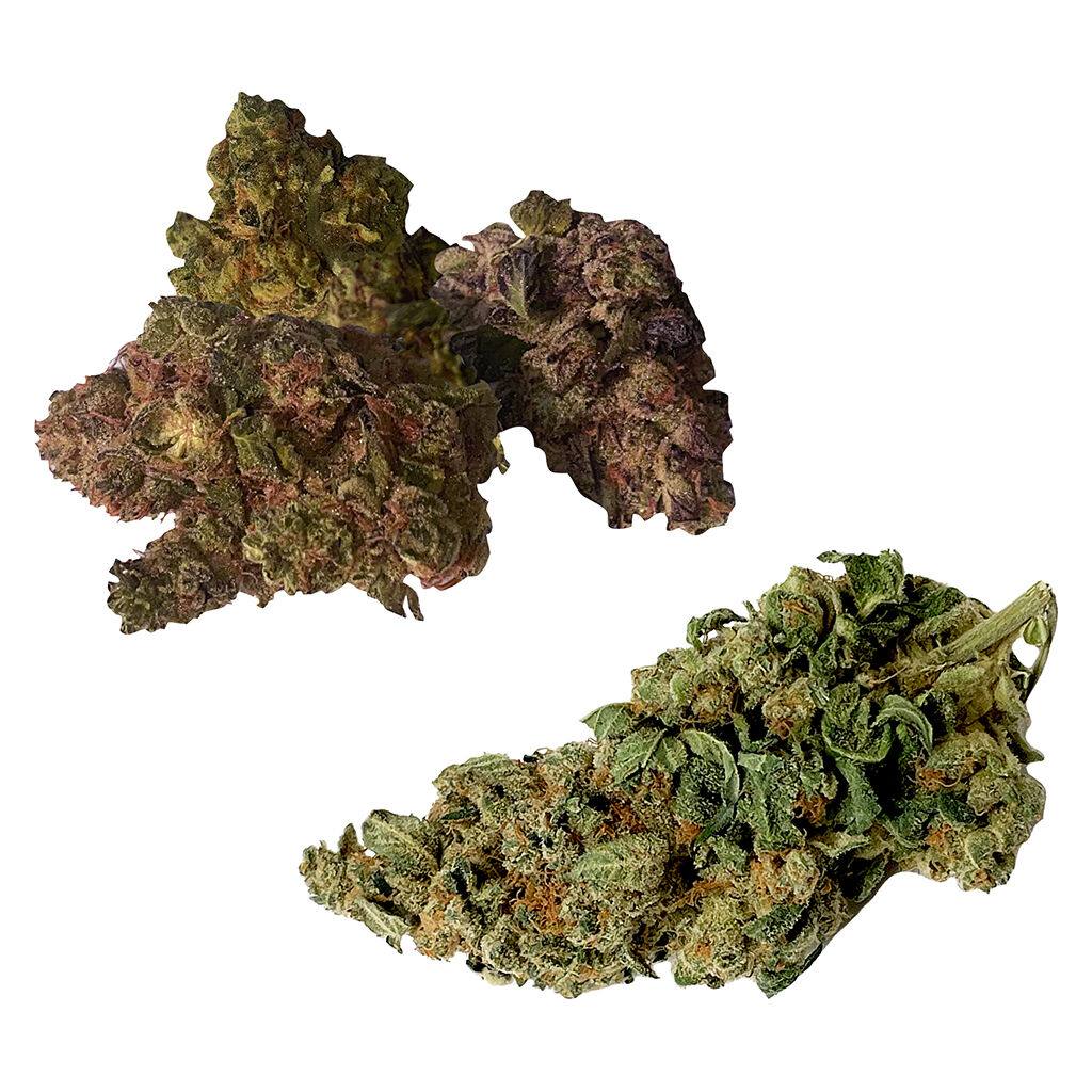 THINKER Classics - ON+OFF Craft Flower Variety Pack