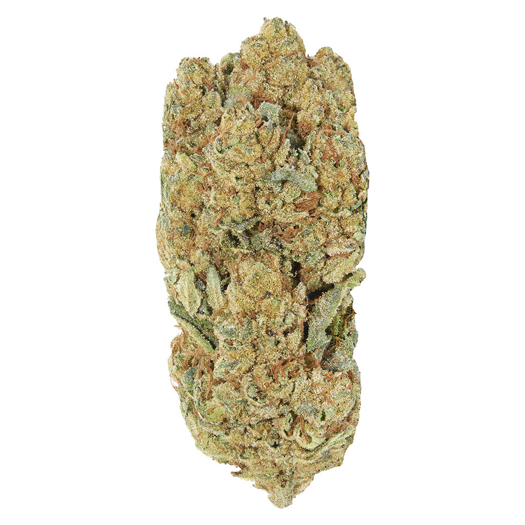 Redecan - Frosted Animal Cake