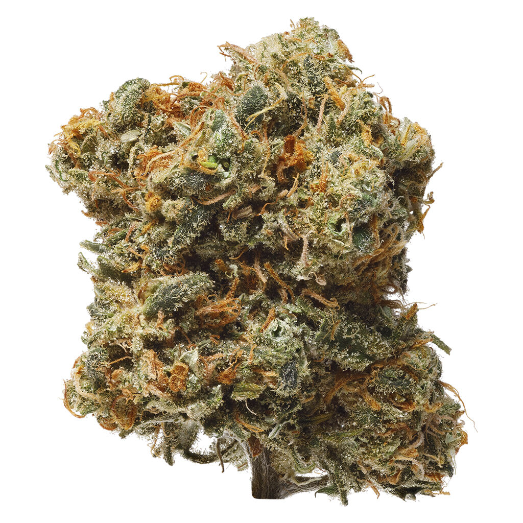 1964 - Blue Dream 1g