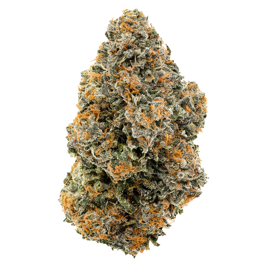 1964 - Organic Gelato #41 14g