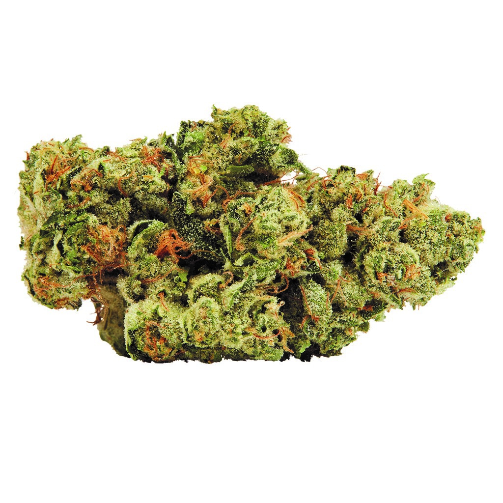 34 Street Seed Co. - 34 Street Cookie