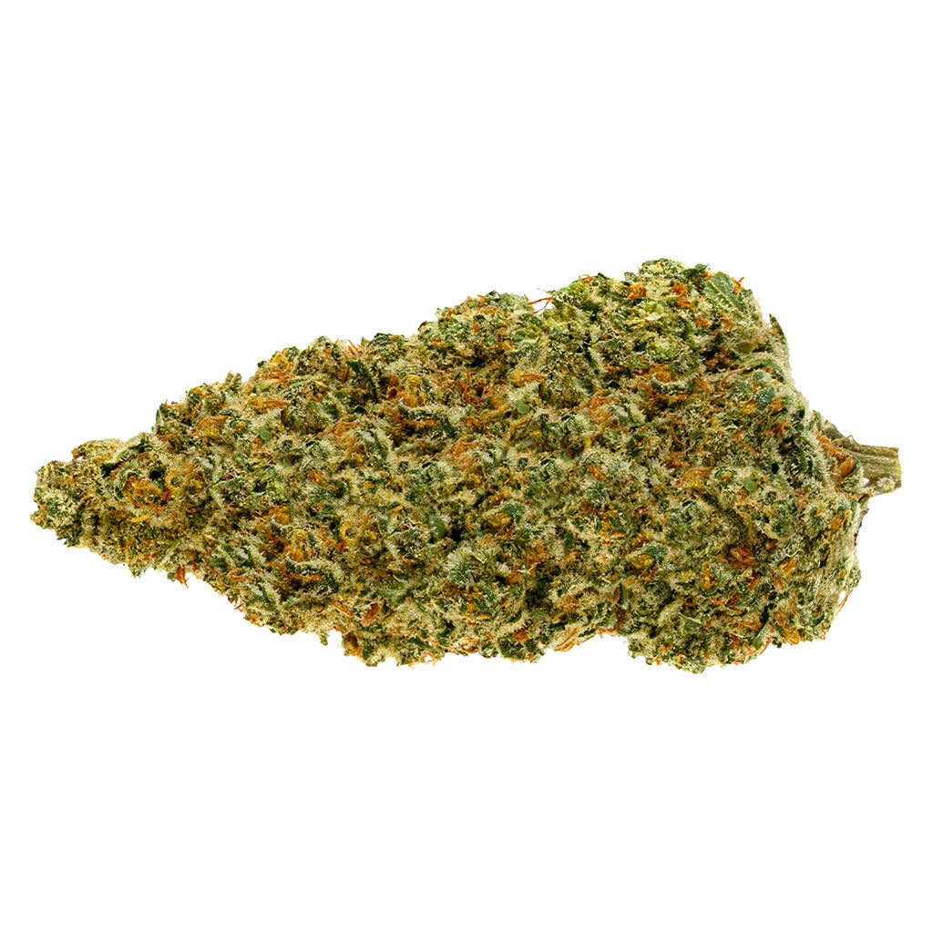 HOTBOX - Power Up