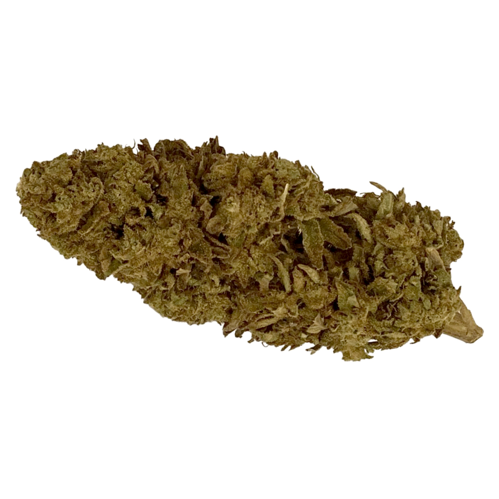 Argentia Gold - Tropicana Banana