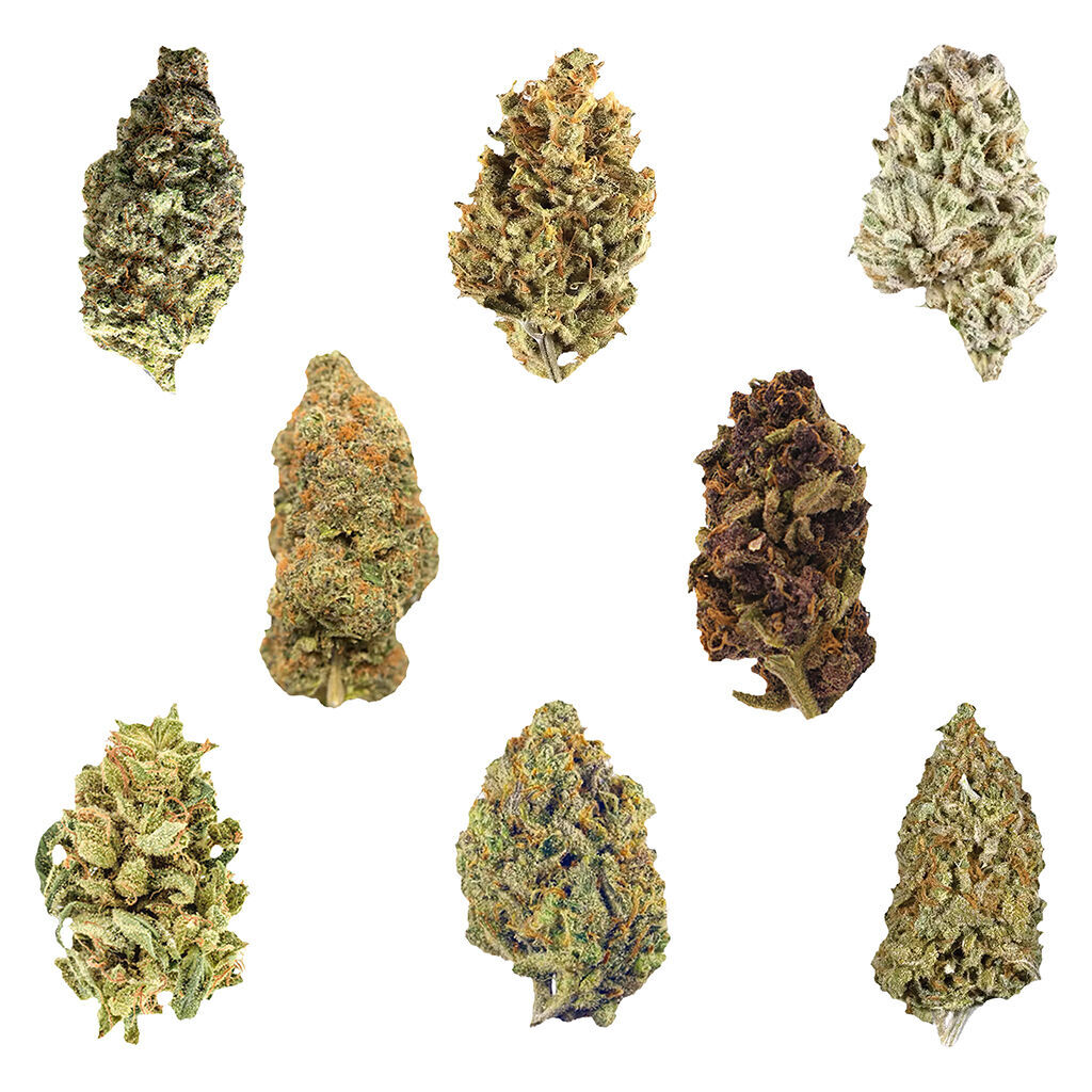 Potluck - Dankmas Feast Variety Pack