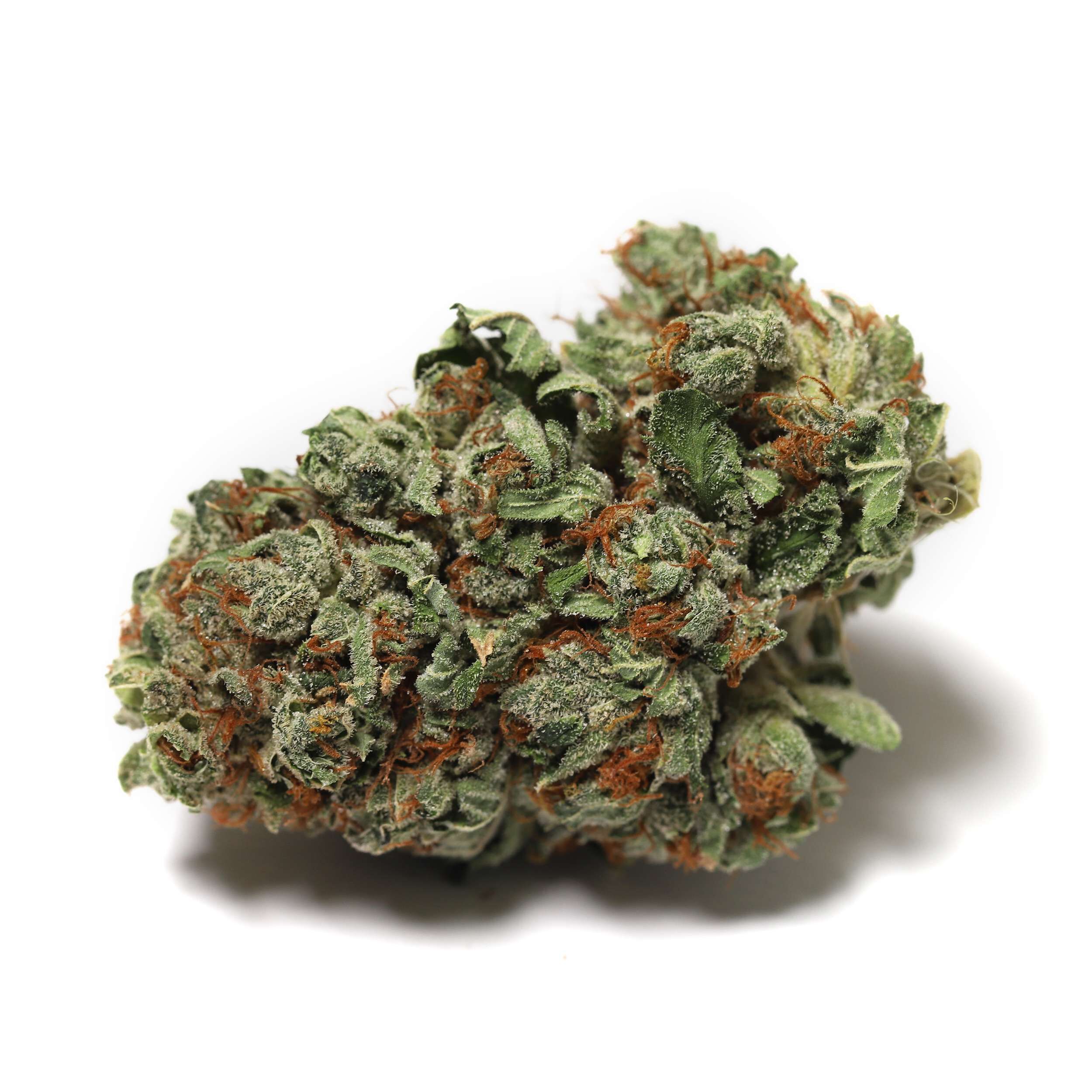 High Tide - Headband