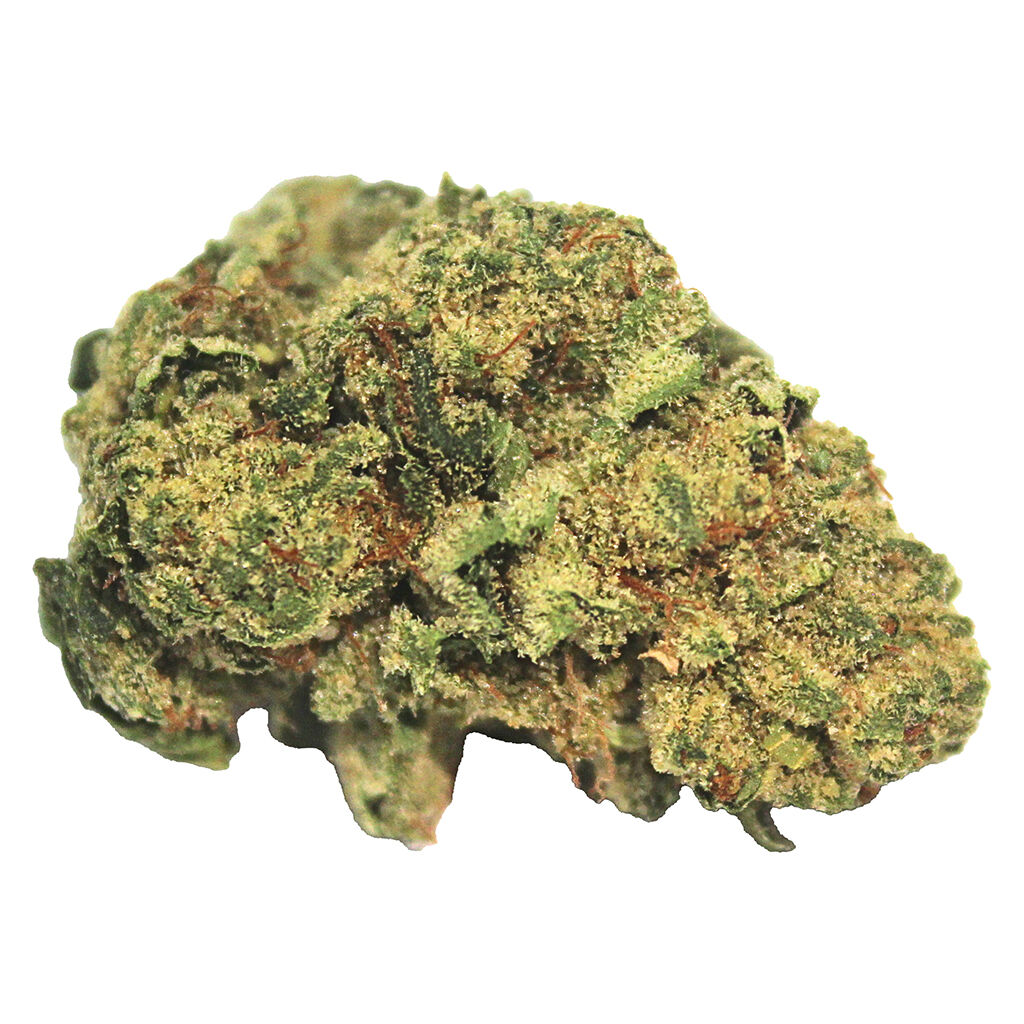 DG - Hash Plant