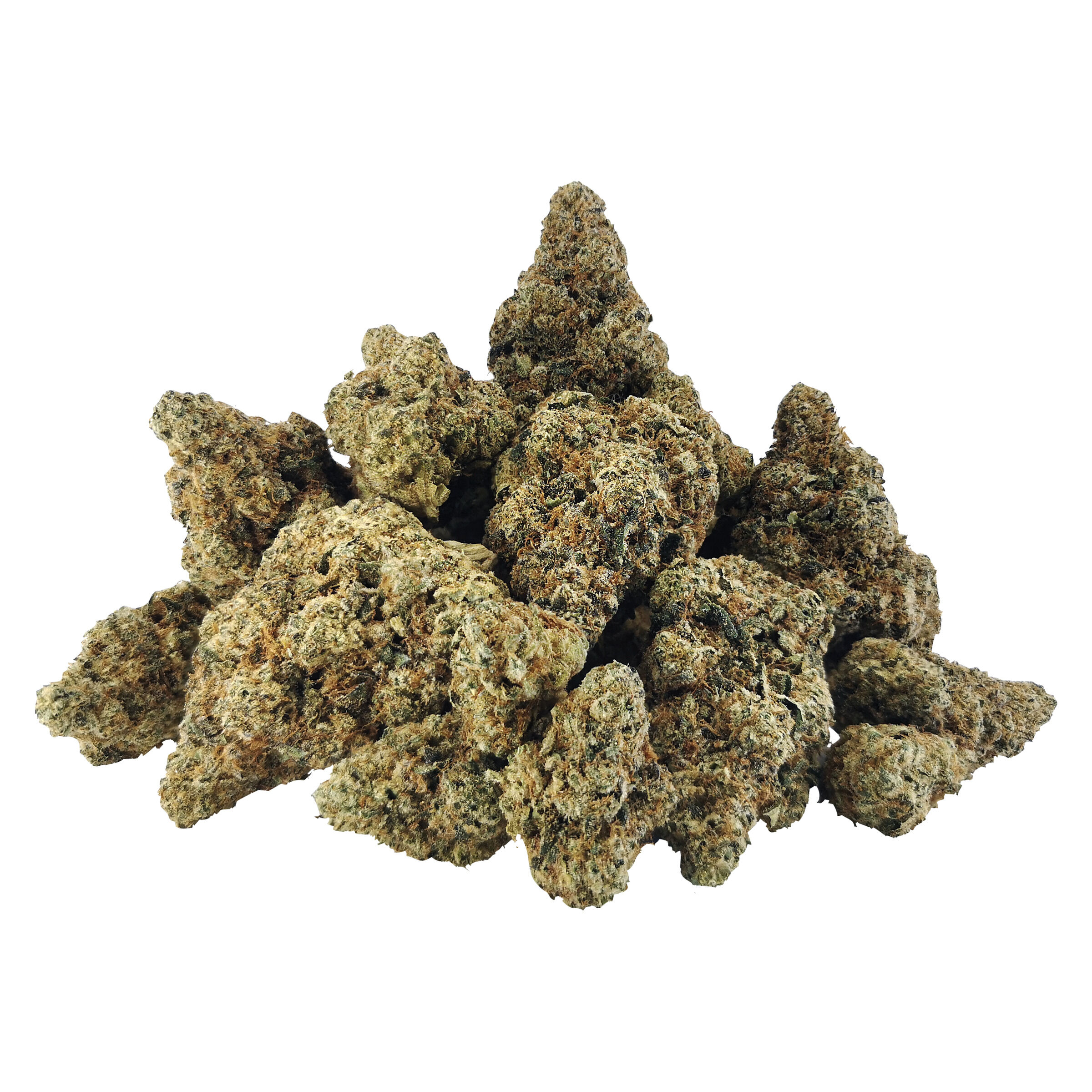 BC OZ - Key Lime Gelato Craft Flower