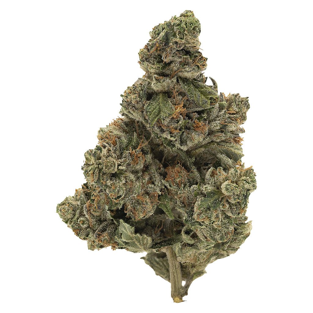Simply Bare - BC Organic Kraken