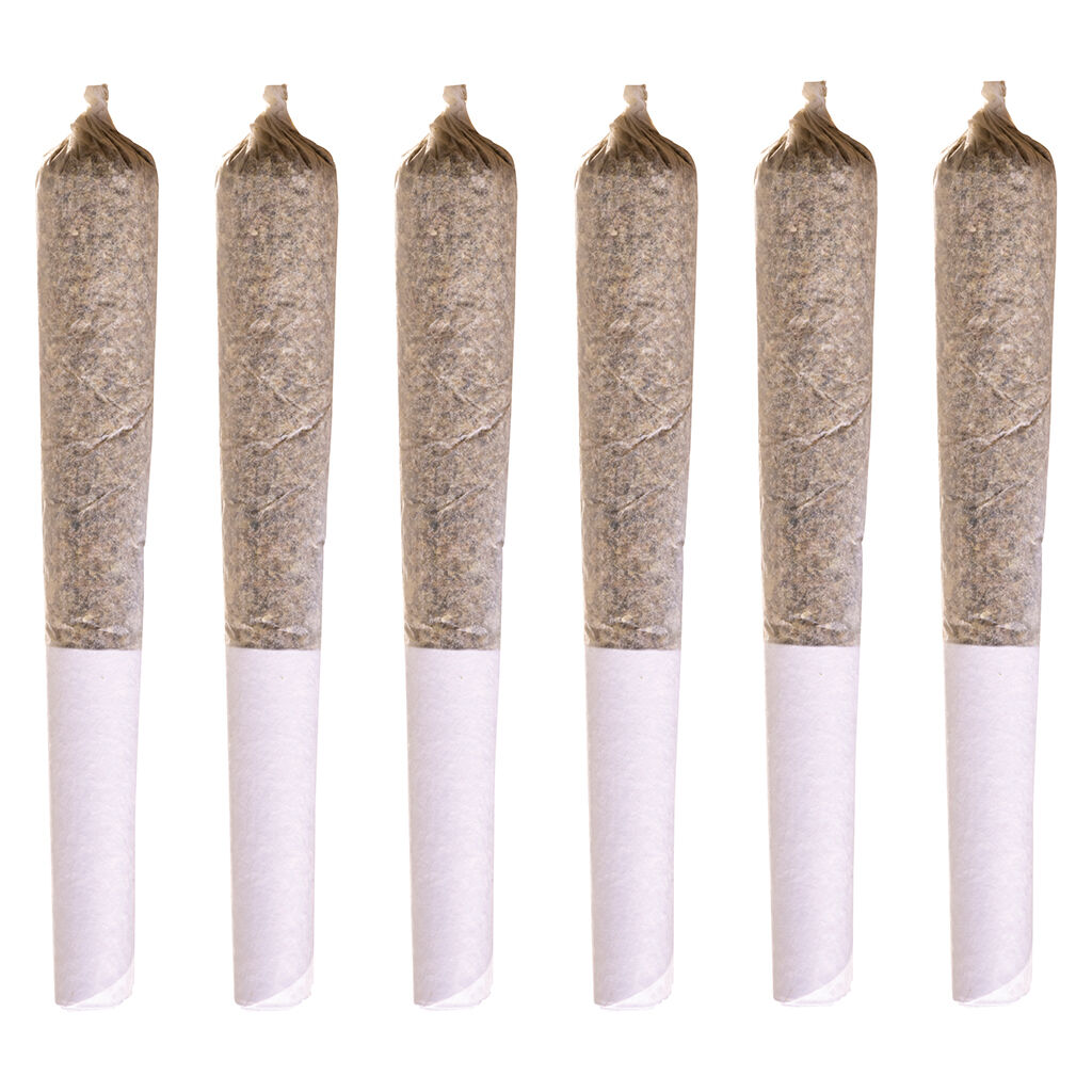 Station House - Jack Herer Pre-Roll - Sativa - 6x0.5g