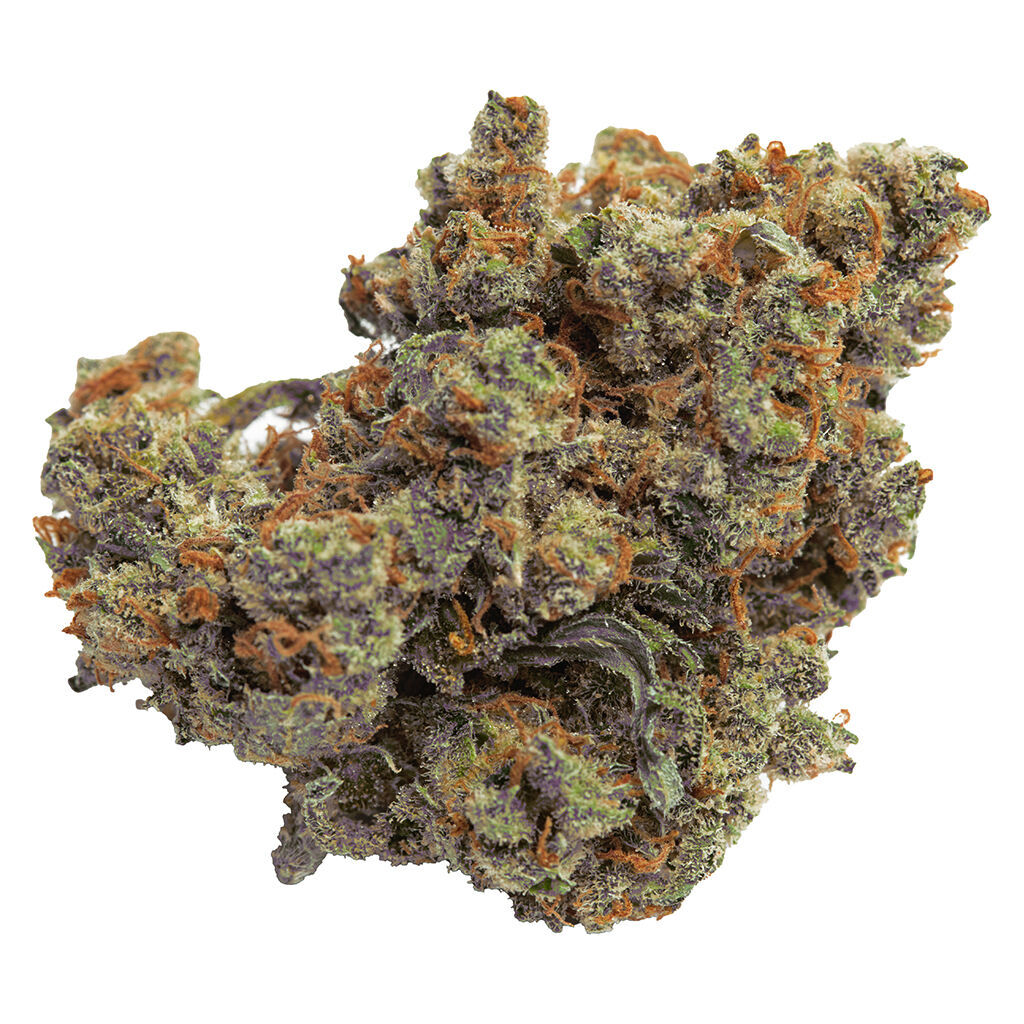 Qwest - Lazer Jet Craft Whole Flower