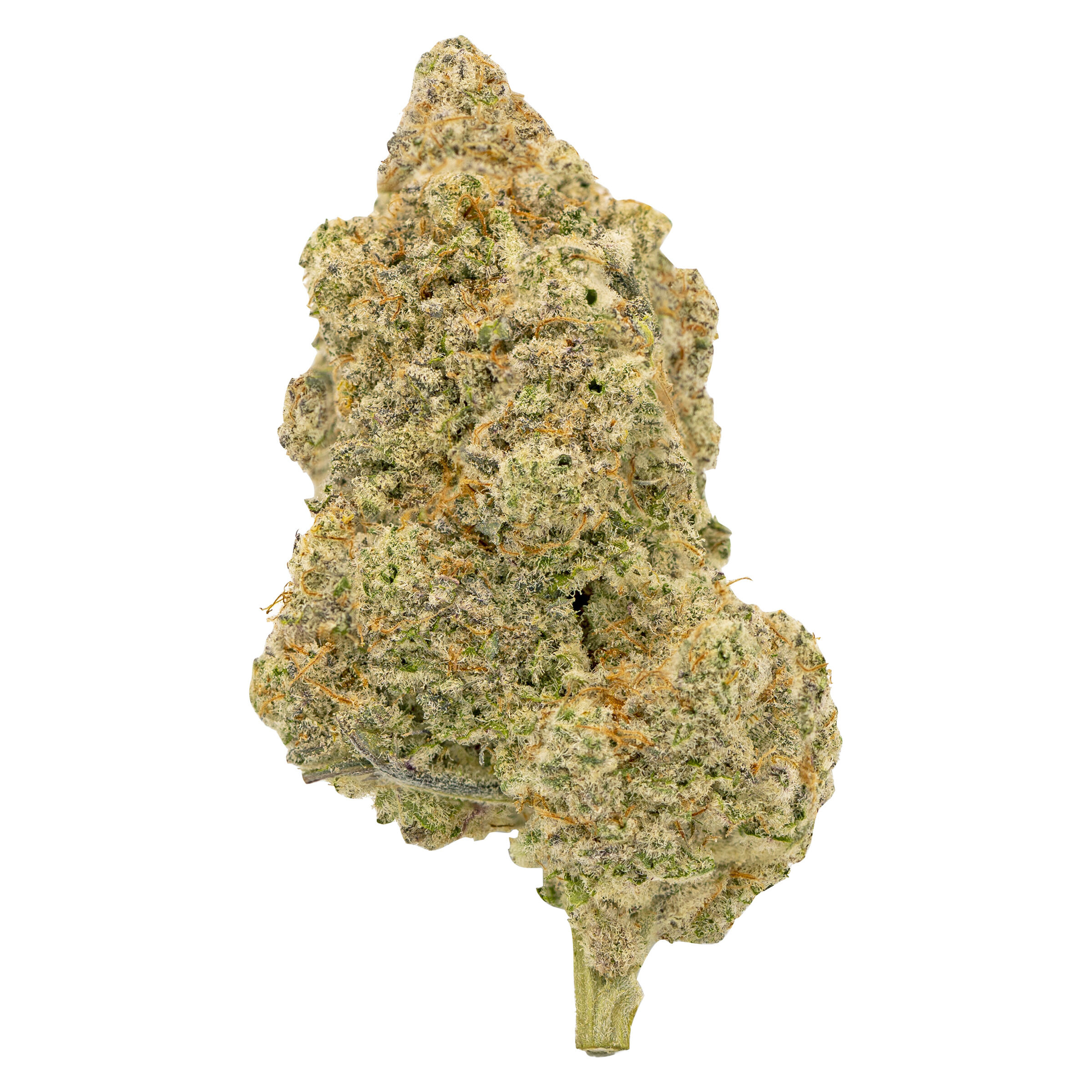 Only Micro Growers - Mac 7 by Vertical 7