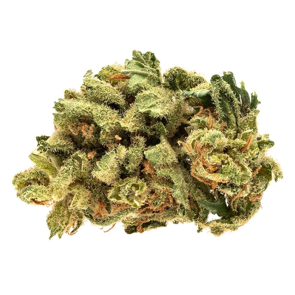 RIFF - Raider Kush